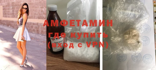 шишки Аркадак