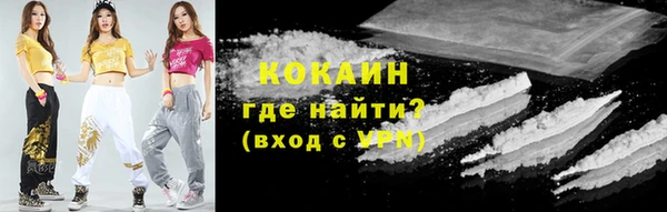 шишки Аркадак