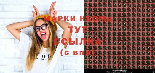 шишки Аркадак