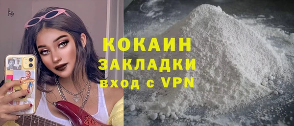 шишки Аркадак
