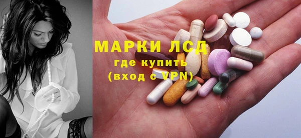 шишки Аркадак